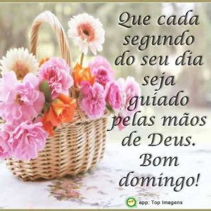 Fotos De Buenos Dias Domingo Para Celular