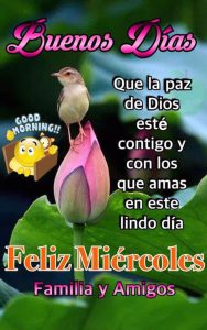 Fotos De Buenos Dias Hermosa Para Celular