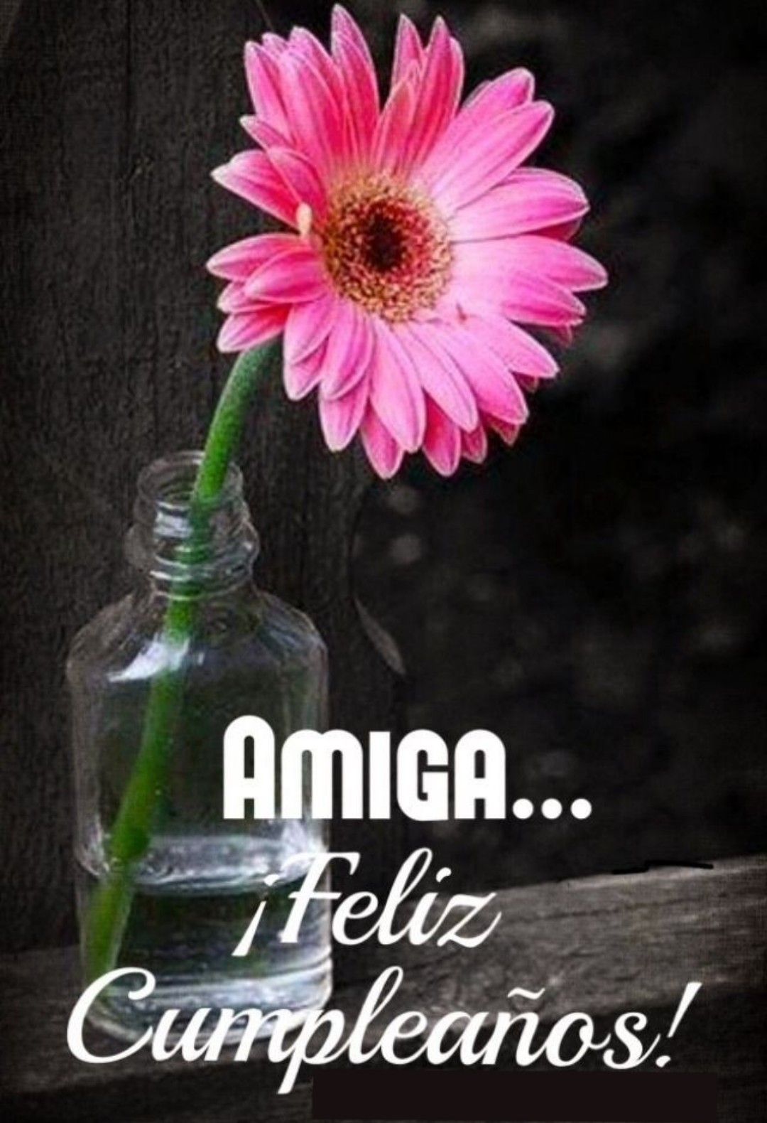 Fotos De Feliz Cumpleaños Amiga