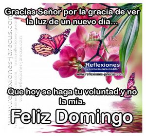 Fotos De Feliz Domingo Para Celular