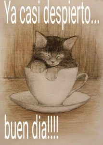 Fotos De Los Buenos Dias Para Whatsapp