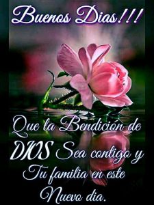 Fotos De Mensajes De Buenos Dias