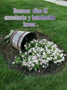 Fotos De Mensajes De Buenos Dias Para Celular