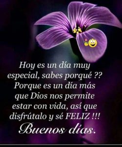Fotos De Muy Buenos Dias Para Descargar