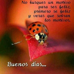 Fotos De Muy Buenos Dias Para Facebook
