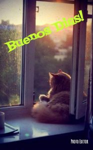 Fotos De Muy Buenos Dias Para Mi Amor