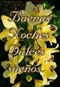 Fotos De Saludos De Buenas Noches Para Whatsapp