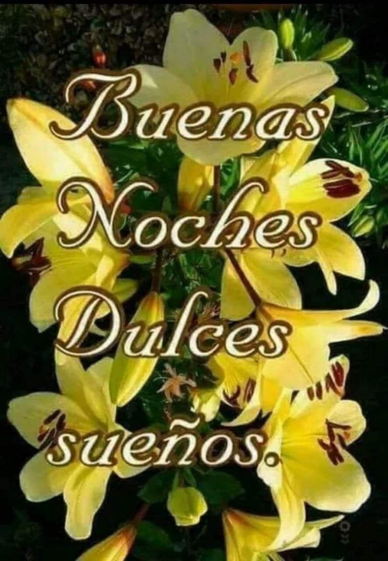 Fotos De Saludos De Buenas Noches Para Whatsapp