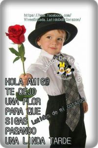 Fotos De Tardes Para Whatsapp Celular