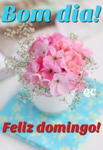 Fotos Del Dia Domingo Para Celular