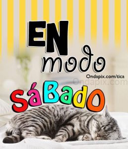 Fotos Feliz Sabado Para Descargar