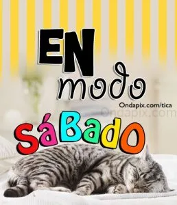 Fotos feliz sábado para descargar