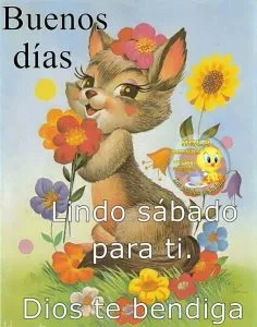Fotos feliz sábado para WhatsApp