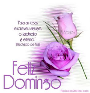 Fotos Graciosas De Domingo Para Celular