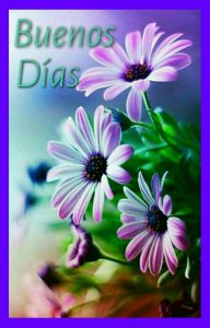 Fotos Hermosas De Buenos Dias