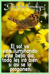 Fotos Hermosas De Buenos Dias Para Facebook