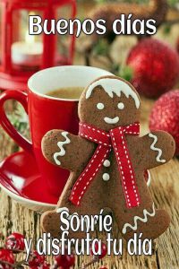 Fotos Lindas De Buenos Dias Para Celular