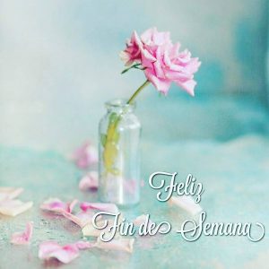 Fotos Lindas De Buenos Dias Para Facebook