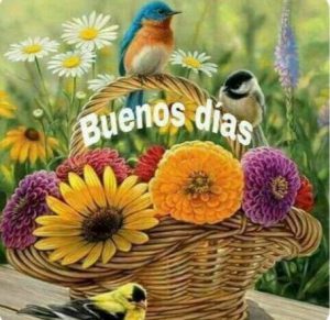 Fotos Para Dar Los Buenos Dias Para Una Amiga