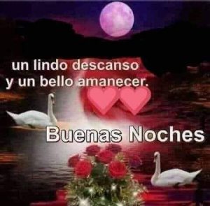 Fotos Para Decir Buenas Noches Para Celular