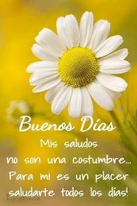 Fotos Romanticas De Buenos Dias Para Celular