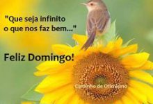 Photo of Frase De Domingo Familiar Para Celular