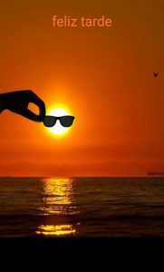 Frase De Tarde Feliz Para Whatsapp Celular