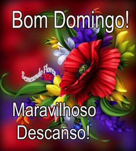 Frase Domingo Feliz Para Celular