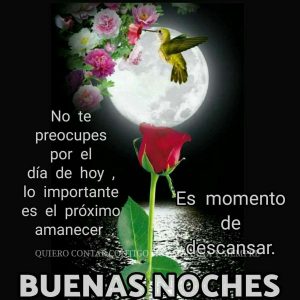 Frases Bellas De Buenas Noches