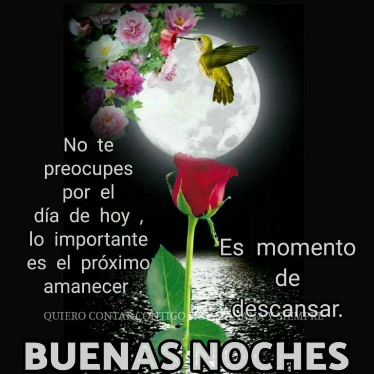 Frases Bellas De Buenas Noches
