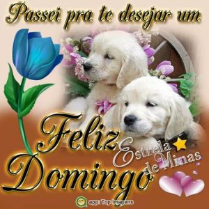 Frases Bonita De Dia Domingo Para Celular