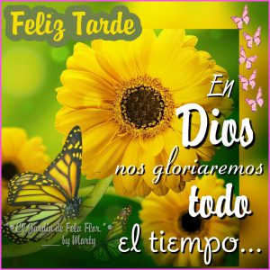 Frases Bonitas Buenas Tardes Para Whatsapp Celular