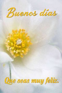 Frases Bonitas Con Imagenes De Buenos Dias Para Descargar