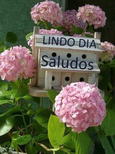 Frases Bonitas Con Imagenes De Buenos Dias Para Whatsapp