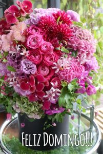 Frases Bonitas D Buenos Dias