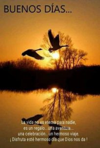 Frases Bonitas D Buenos Dias Para Una Amiga