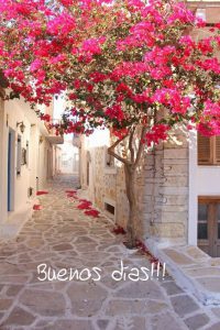 Frases Bonitas De Amor Para Dar Los Buenos Dias Para Una Amiga