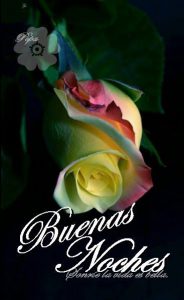 Frases Bonitas De Buenas Noches Para Mi Esposo Para Facebook