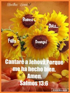 Frases Bonitas De Buenos Dias Amor Para Celular