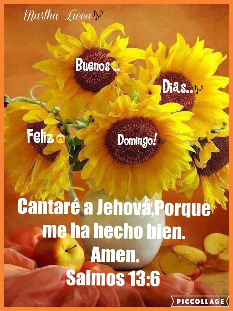 Frases Bonitas De Buenos Dias Amor Para Celular
