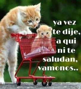Frases bonitas de buenos días para enamorar