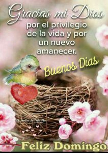 Frases Bonitas De Buenos Dias Para Enamorar Para Whatsapp