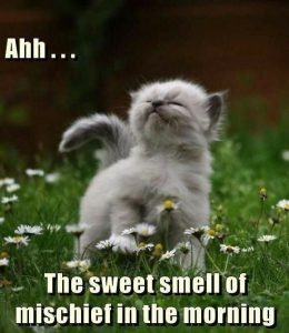 Frases Bonitas De Buenos Dias Para Mi Novio Para Whatsapp