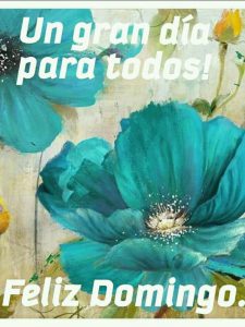Frases Bonitas De Feliz Domingo Para Celular