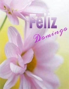 Frases Bonitas De Feliz Domingo Para Whatsapp