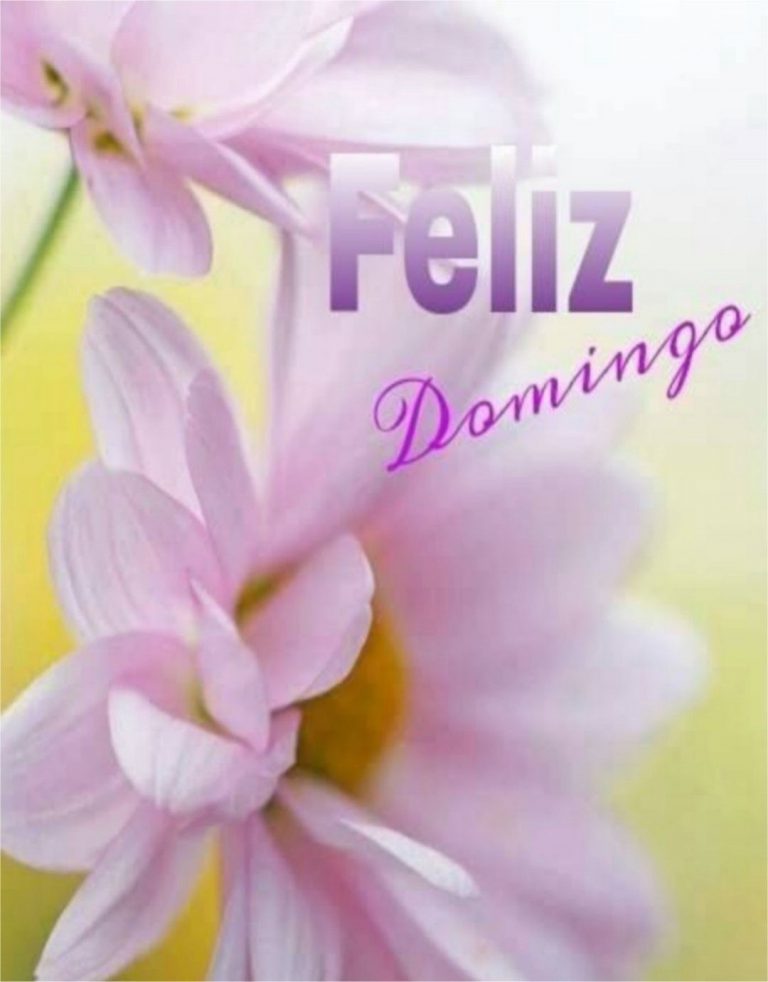 Frases Bonitas De Feliz Domingo Para Whatsapp
