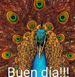 Frases Bonitas De Los Buenos Dias