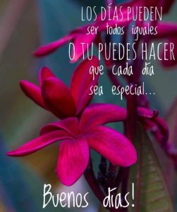 Frases Bonitas De Los Buenos Dias Para Celular