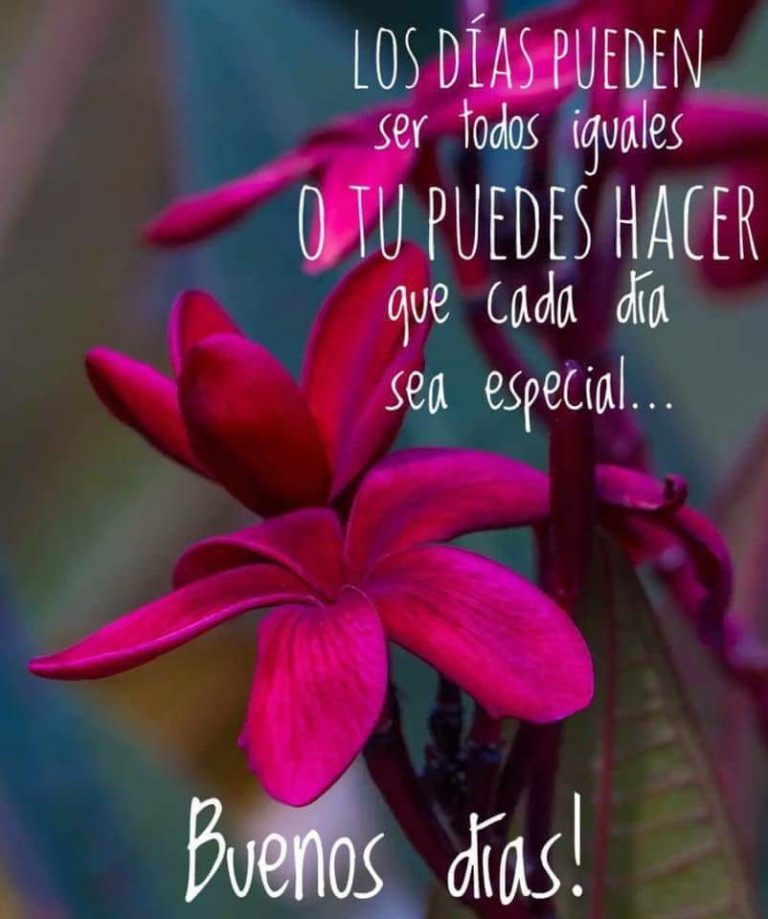 Frases Bonitas De Los Buenos Dias Para Celular