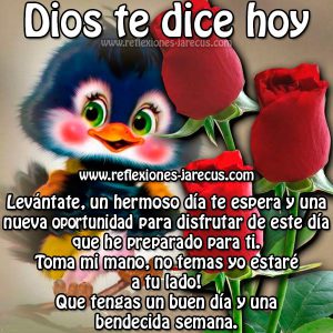 Frases Bonitas De Los Buenos Dias Para Facebook